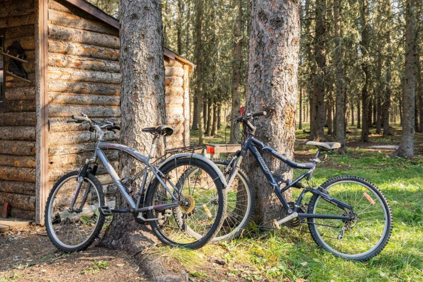 Rustic Cozy Cabin With Hot Tub Bragg Creek Esterno foto